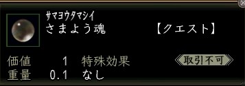 さまよう魂.JPG