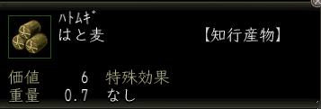 はと麦.JPG