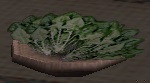 ほうれん草盛り.jpg