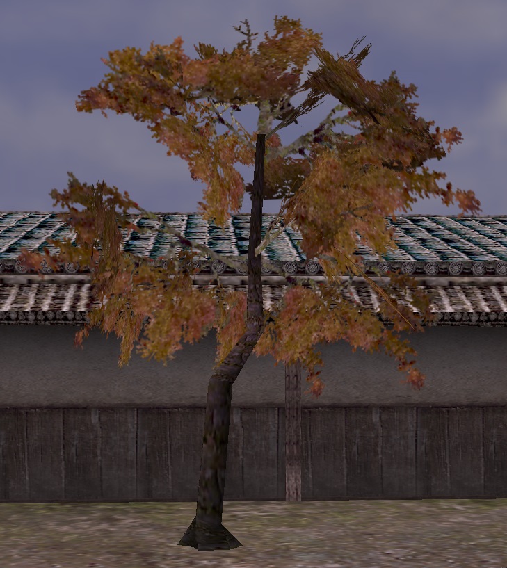 もみじの植木.jpg