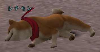 シナモン寝転び.jpg