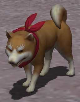 シナモン.jpg