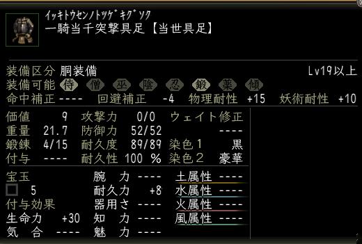 一騎当千突撃具足.JPG