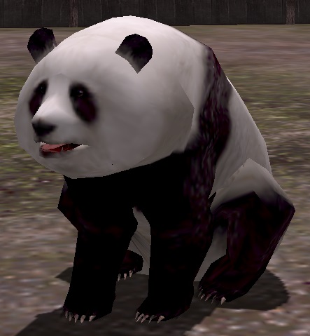 パンダ中.jpg