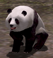 パンダ小.jpg