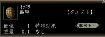 亀甲.JPG