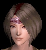 十六間星兜.jpg