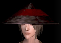 夢想の変わり兜.jpg