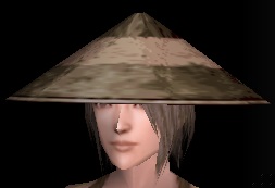 昴の変わり兜.jpg