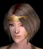 炎鳥の筋兜.jpg