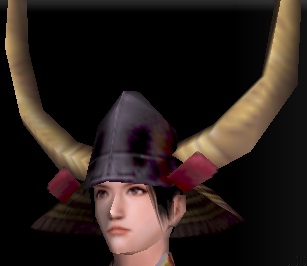 魁二角筋兜.jpg