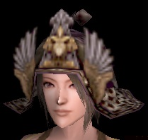 唐物羽根付兜.jpg