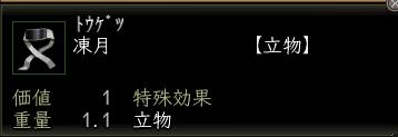 凍月.JPG