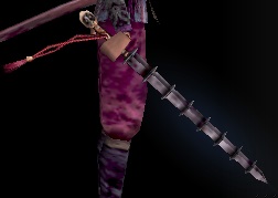 光輪打鞭・光.jpg