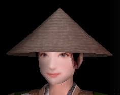 日よけ笠.jpg