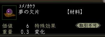 夢の欠片.JPG