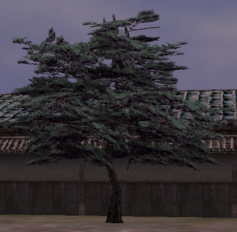 大きな松の植木.jpg