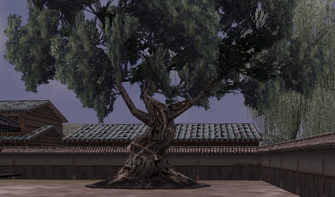 大きな植木.jpg