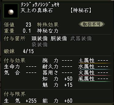 天上の真珠石.JPG