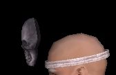 如水しゃれこうべ横.JPG