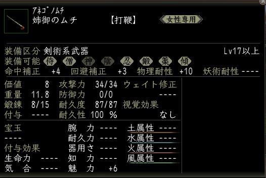 姉御のムチ.JPG