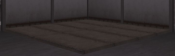 小さな廃屋の畳.jpg