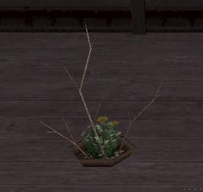 小菊の生け花.JPG