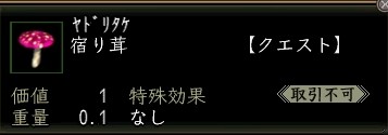 宿り茸.JPG