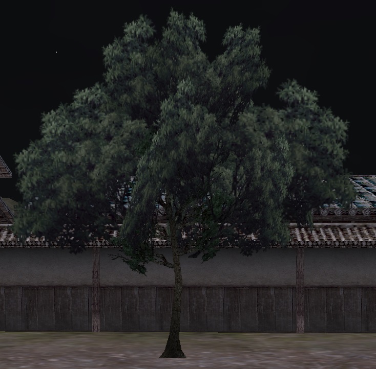 小さな植木.jpg