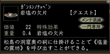 岩塩の欠片.jpg