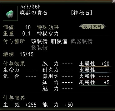 廃都の貴石.JPG