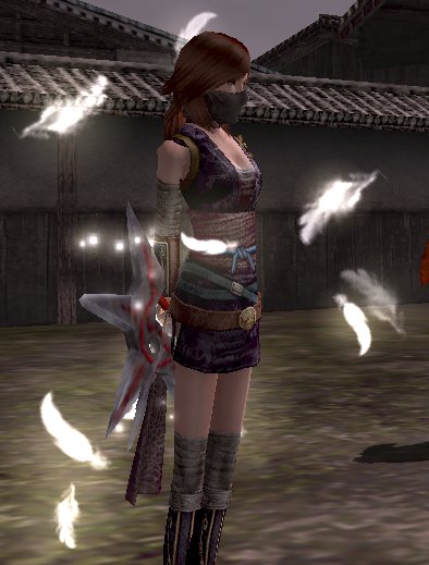 syurikaiken_effect.jpg