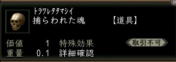 捕らわれた魂.JPG
