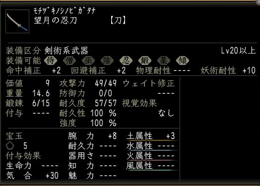 望月の忍刀.JPG