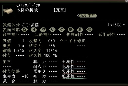 木綿の腕袋.JPG