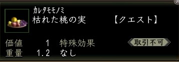 枯れた桃の実.JPG