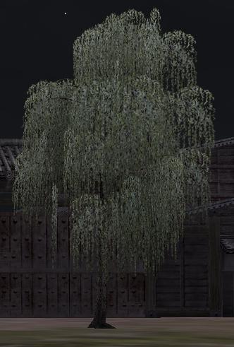 k001.JPG