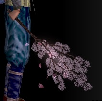 桜の枝満開.jpg