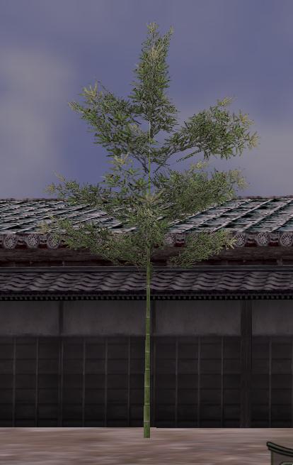 植竹.JPG