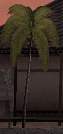yashi.jpg