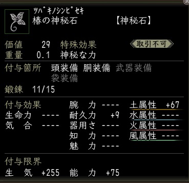 椿の神秘石00.jpg