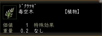 毒空木.JPG