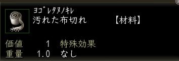 汚れた布切れ.JPG