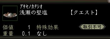 浅瀬の堅塩.JPG