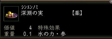 深淵の実.JPG