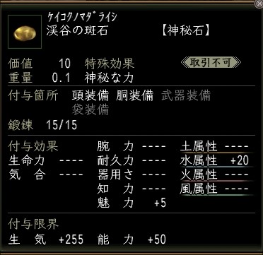 渓谷の斑石.JPG