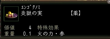 炎獄の実.JPG