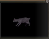 猫の籠・黒横.JPG