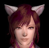 猫耳改装具・白グラ.jpg