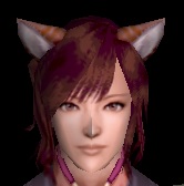 猫耳改装具・茶白グラ.jpg